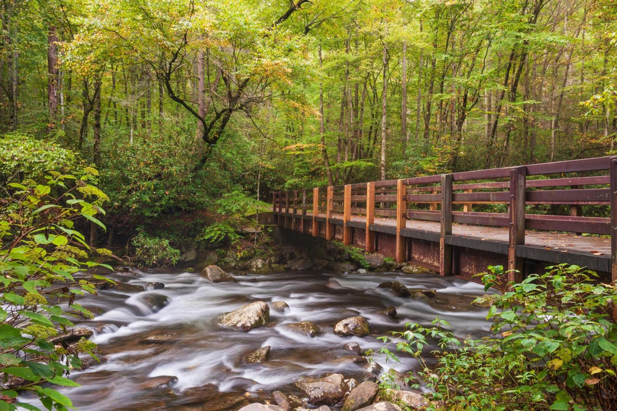 River Song, Near River, Hot Tub, Foosball, Wifi 1089 Free Tickets Each Paid Day, Dollywood And More سيفيرفيل المظهر الخارجي الصورة